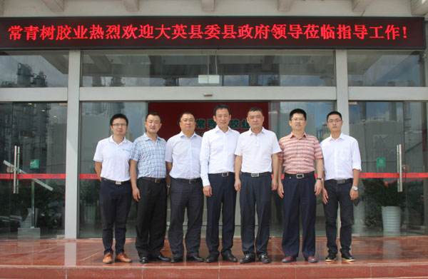 熱烈歡迎四川大英縣委縣政府領(lǐng)導一行蒞臨我司參觀指導